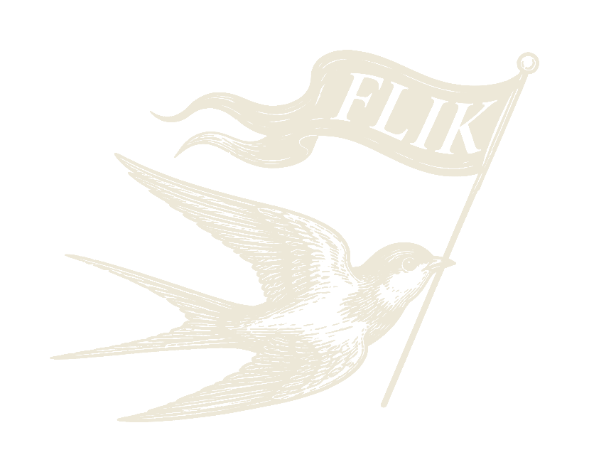 The FLIK swallow in flight